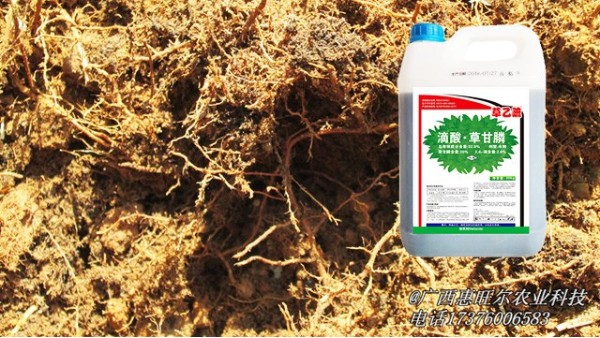 滴酸•草甘膦在土壤中的残留期长吗