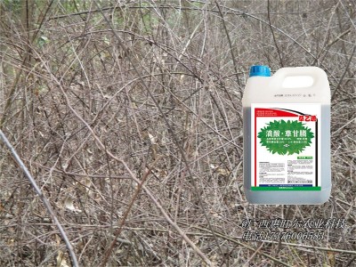 草乙疏除草剂用于东门林场某分场