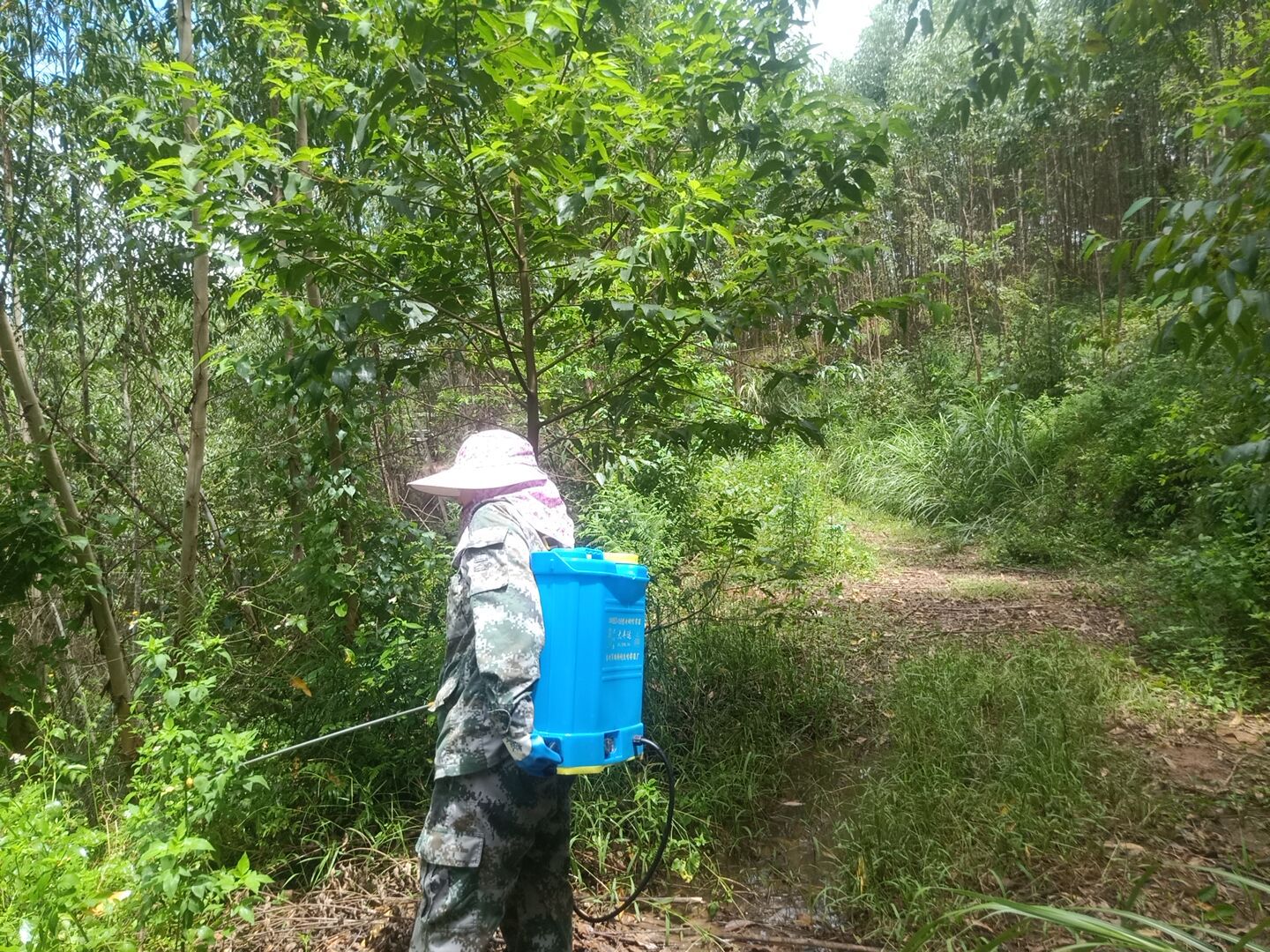 图片素材 : 性质, 厂, 草地, 紫色, 盛开, 草本植物, 植物学, 植物群, 野花, 花卉, 宏观摄影, 开花植物, 雏菊家庭, 水飞蓟 ...