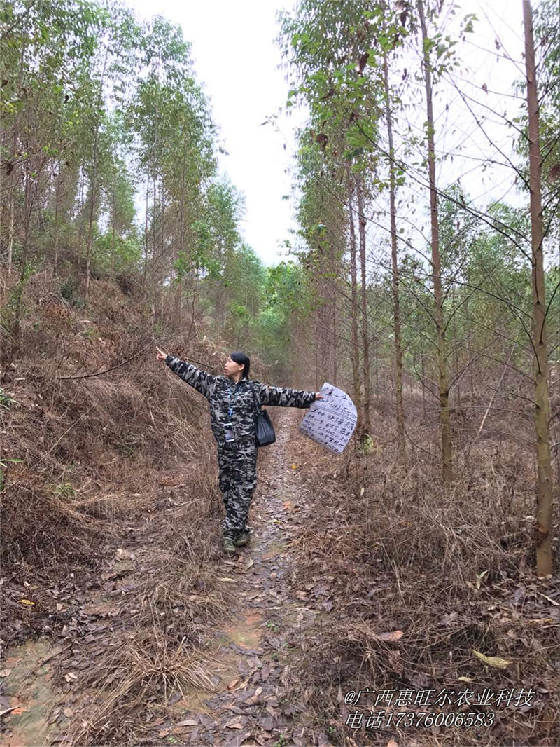 草甘膦除草剂