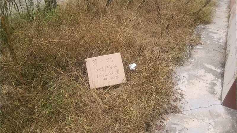 草甘膦除草剂效果