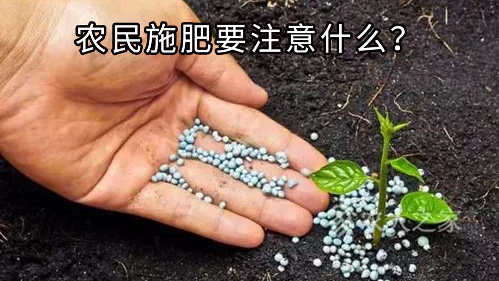 农民施肥要注意的十个细节