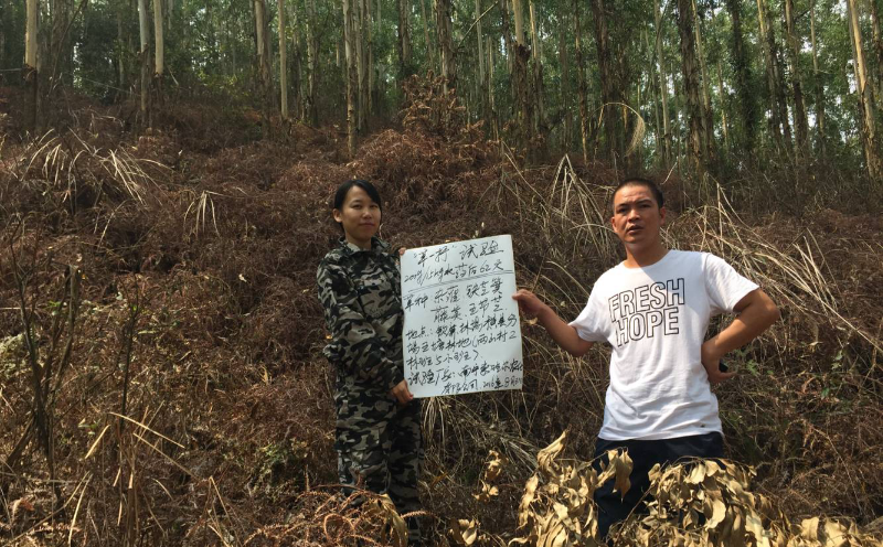 草一抒除草剂除草剂效果