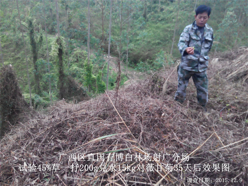 爬藤恶性杂草用什么除草剂