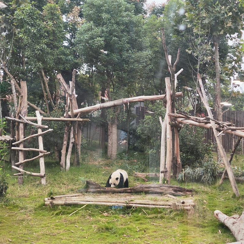 惠旺尔旅游团建活动 (12)