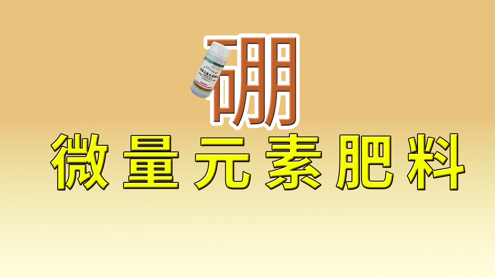 微量元素肥料之硼肥：作物开花结果的“隐形守护者”
