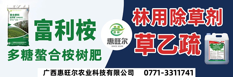广西惠旺尔广告