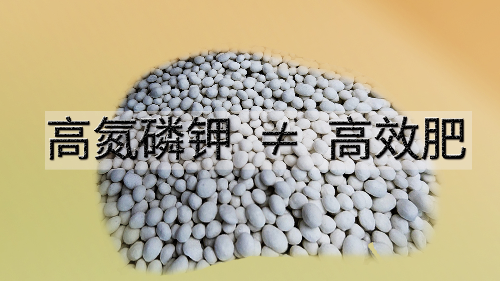 高氮磷钾 ≠ 高效肥，忽略整体营养危害大