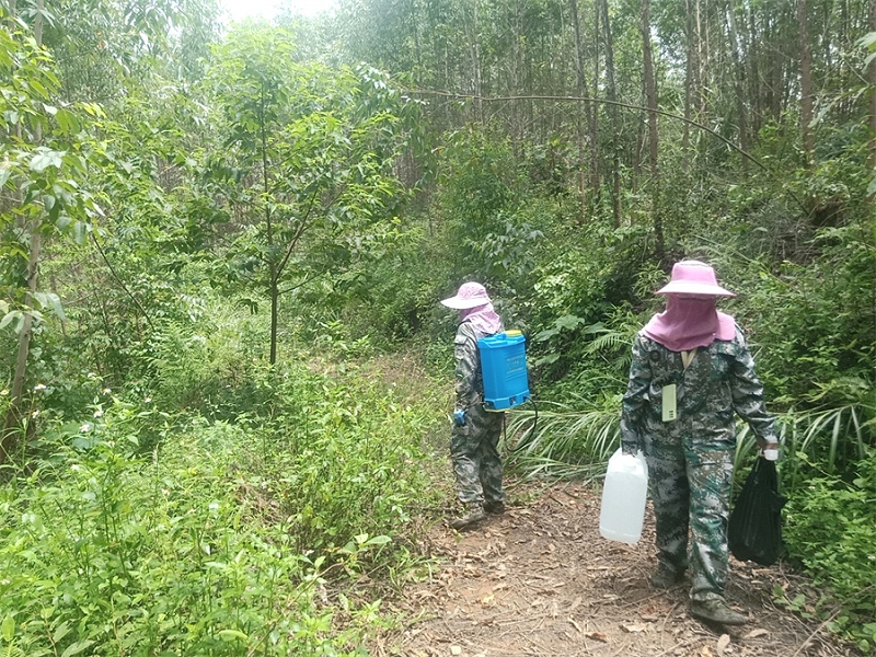 草乙疏除草剂