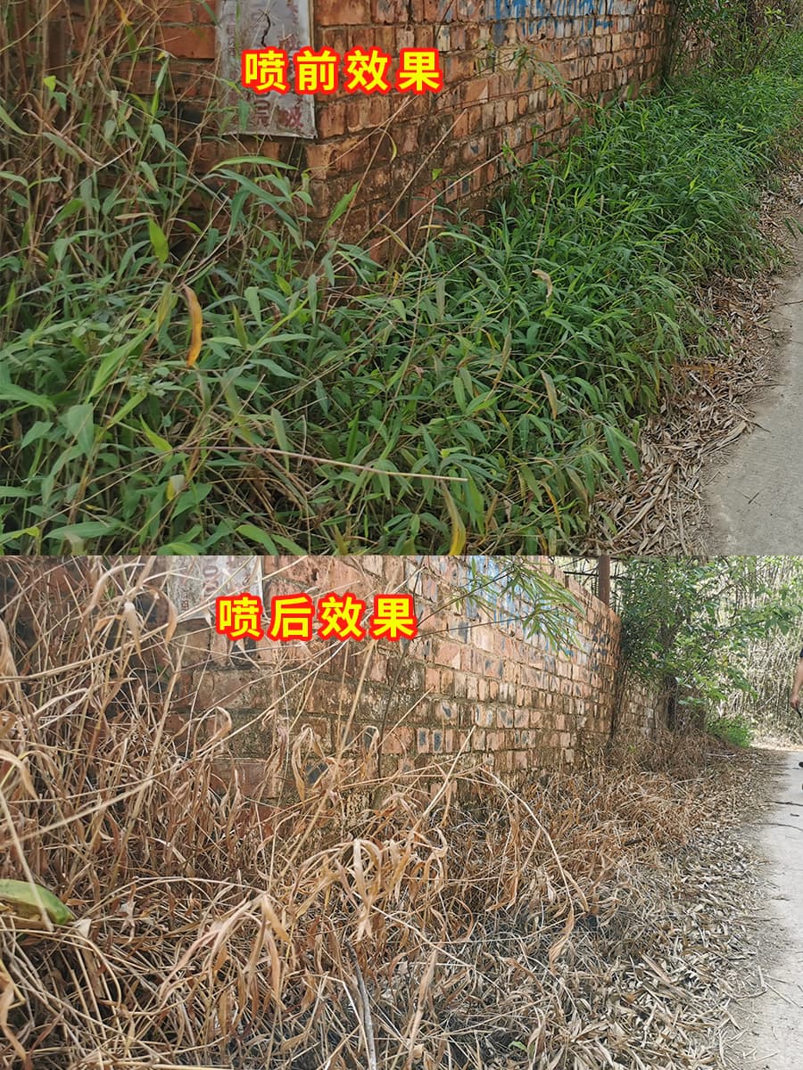 草疏 10%精草铵膦除草剂