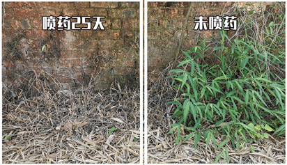 resource/images/7dfa8dca1d904c4ea6240d38aafa5292_16.jpg