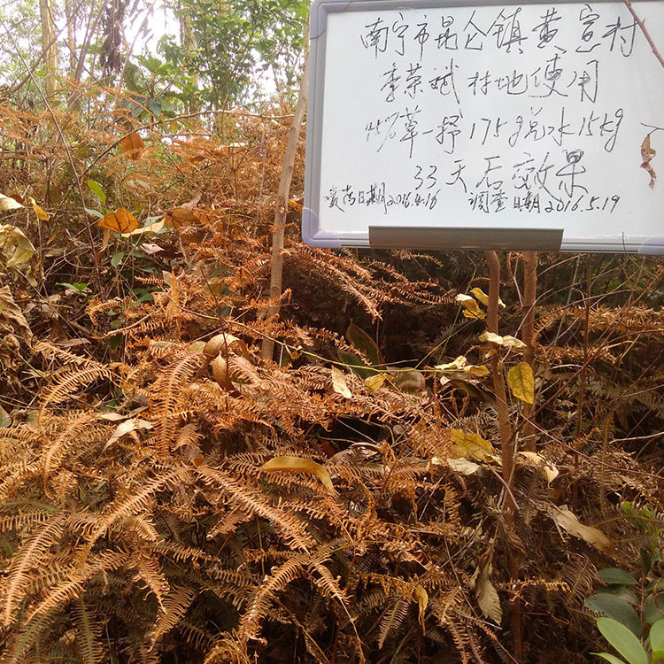 含量41%草甘膦铵盐除草剂效果