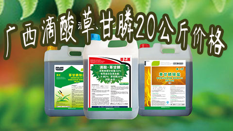 广西滴酸草甘膦20公斤价格