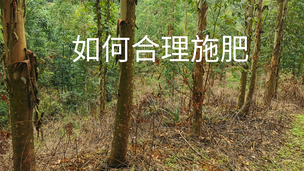 给种植户朋友的施肥建议：合适的才是最好的