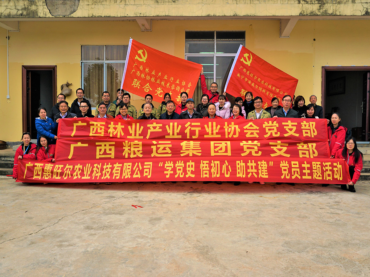 学党史-党建联谊活动