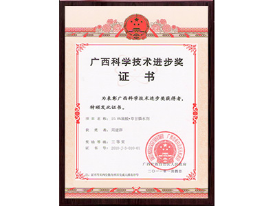 惠旺尔广西科学技术进步奖证书