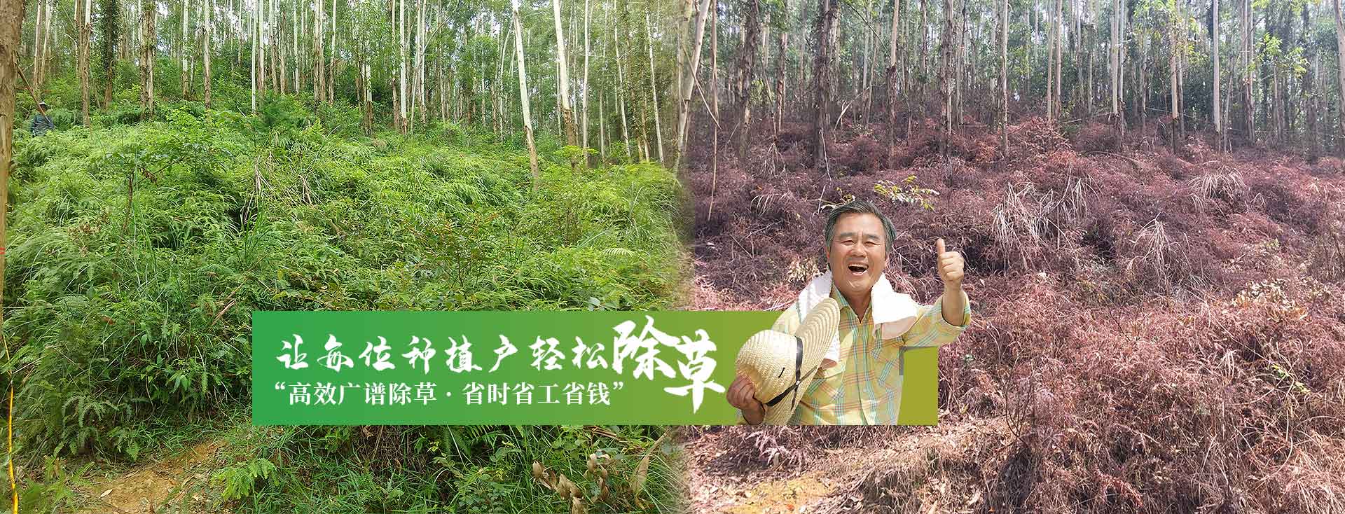 草乙疏除草剂公司