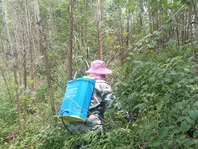 草一抒草甘膦铵盐除草剂