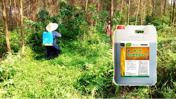 草甘膦铵盐除草剂使用要注意问题