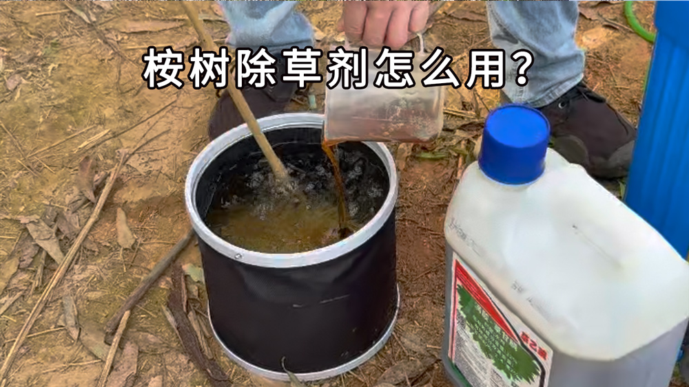 桉树除草剂怎么用？草乙疏实操手册