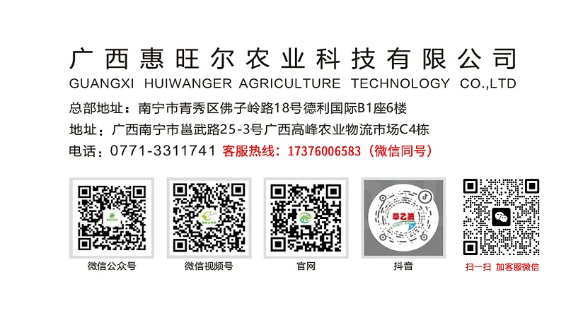 惠旺尔多媒体矩阵